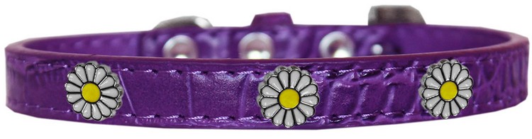 White Daisy Widget Croc Dog Collar Purple Size 20